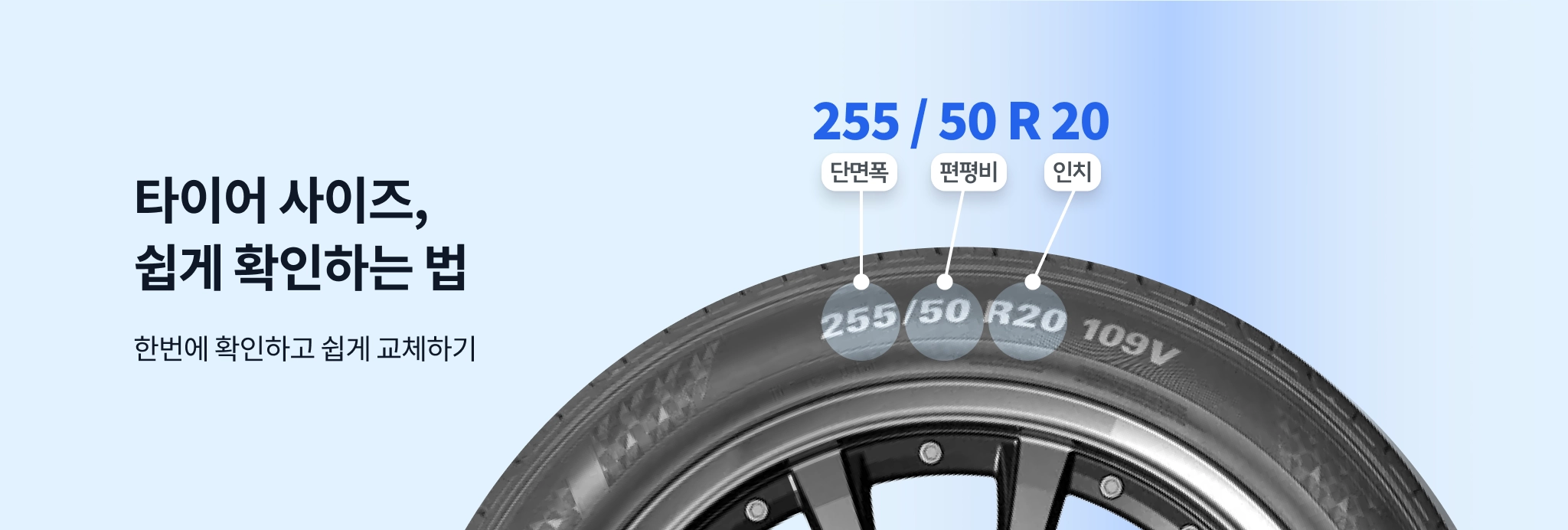 상단 배너